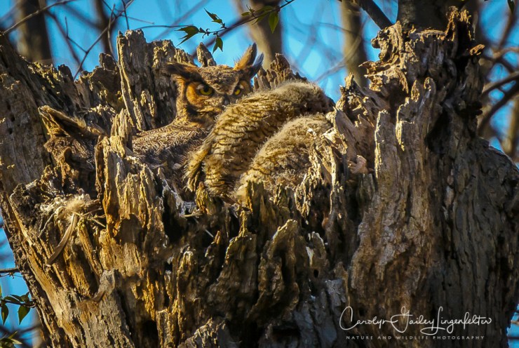 2017_04_18_Places_Chagrin River Park0060-Edit