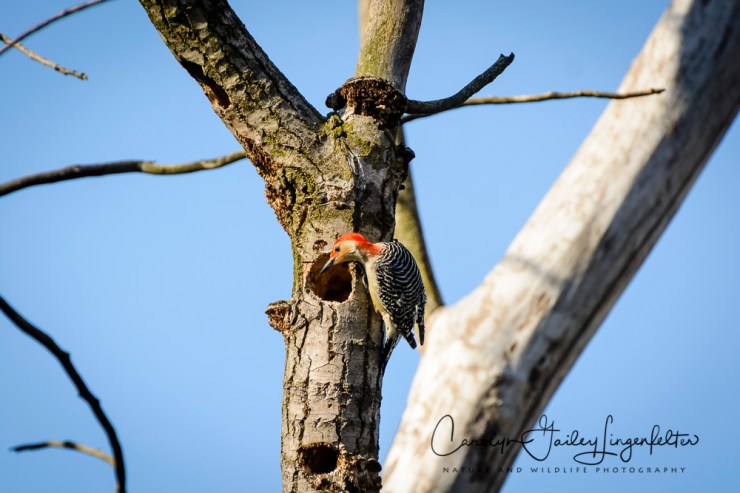 2017_04_18_Places_Chagrin River Park0194