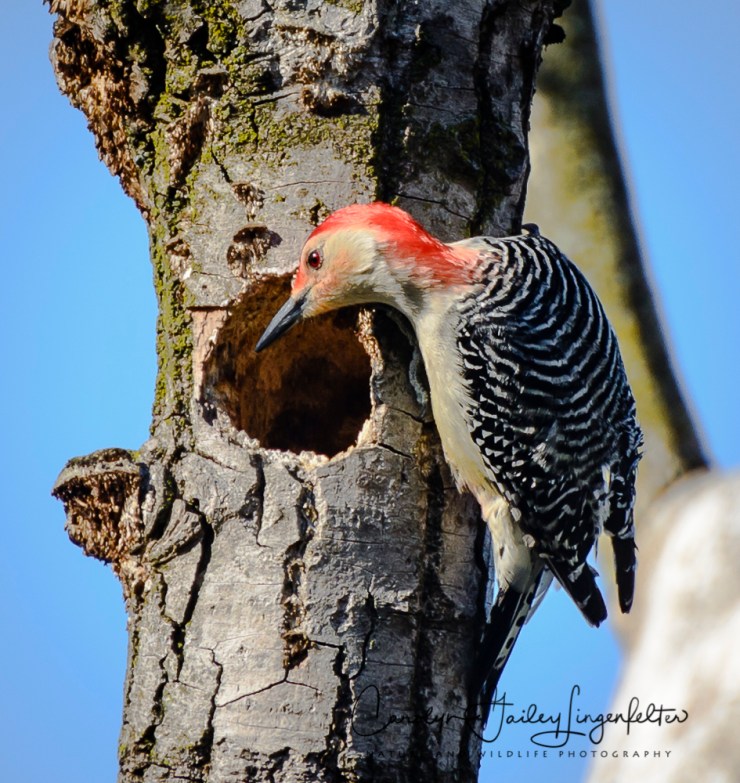 2017_04_18_Places_Chagrin River Park0195