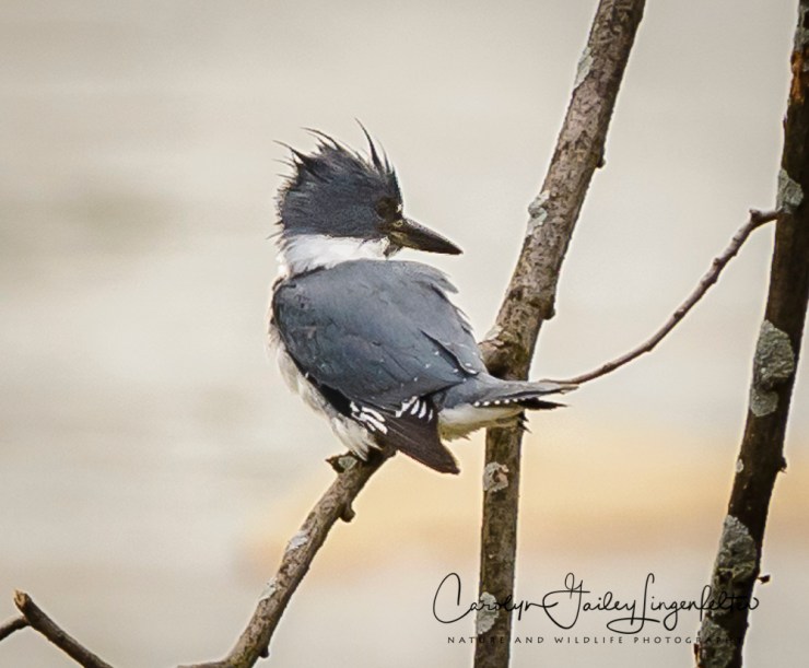 2017_04_19_Places_Chagrin River Park0027
