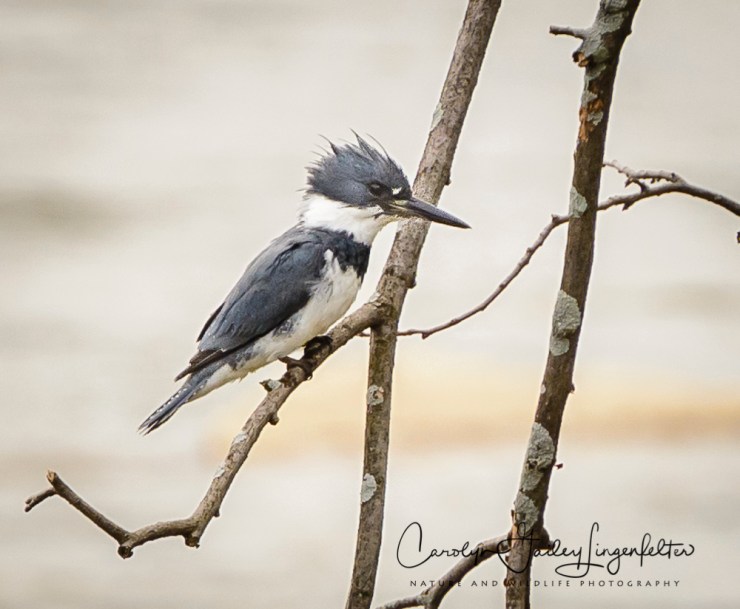 2017_04_19_Places_Chagrin River Park0029