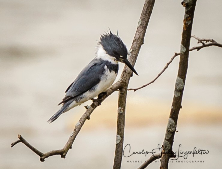 2017_04_19_Places_Chagrin River Park0030