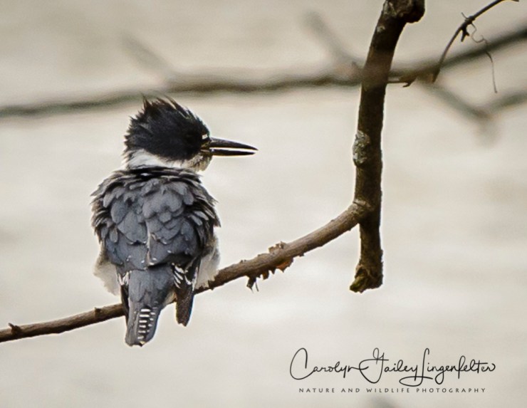 2017_04_19_Places_Chagrin River Park0035