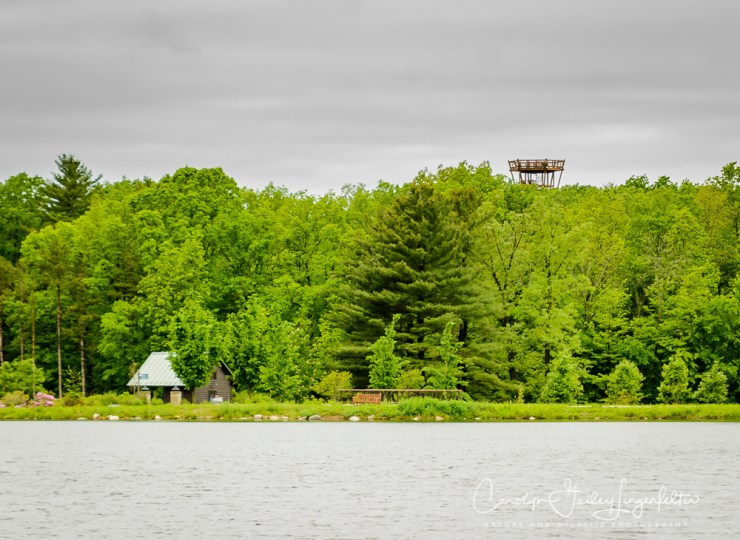 2017_05_26_Places_Holden Arboretum_0026