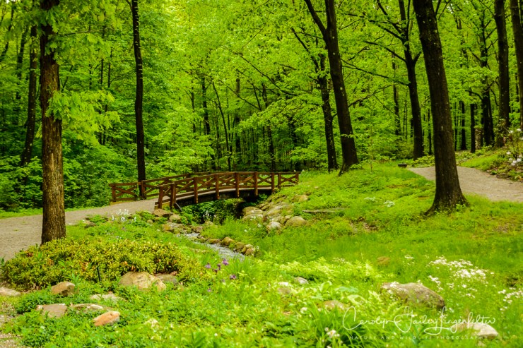 2017_05_26_Places_Holden Arboretum_0064