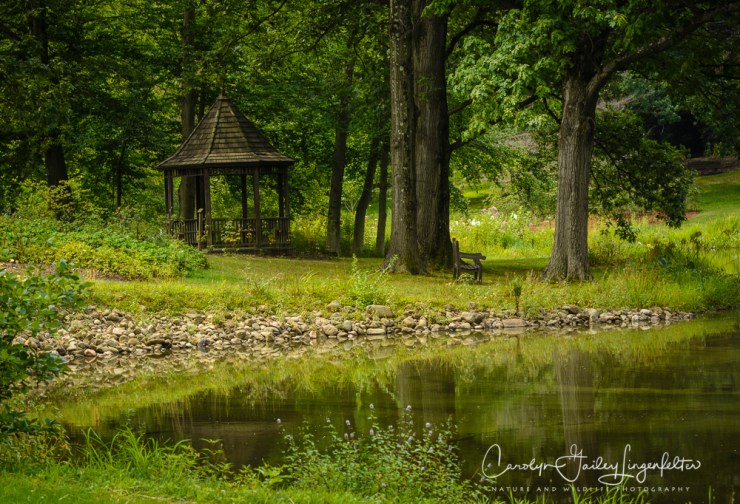 2017_08_10_Summer 2017_Holden & PenGlen_0006