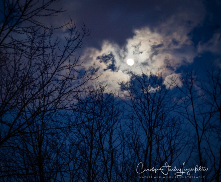 2018_01_28_Chagrin River Park_Winter night shoot_0063