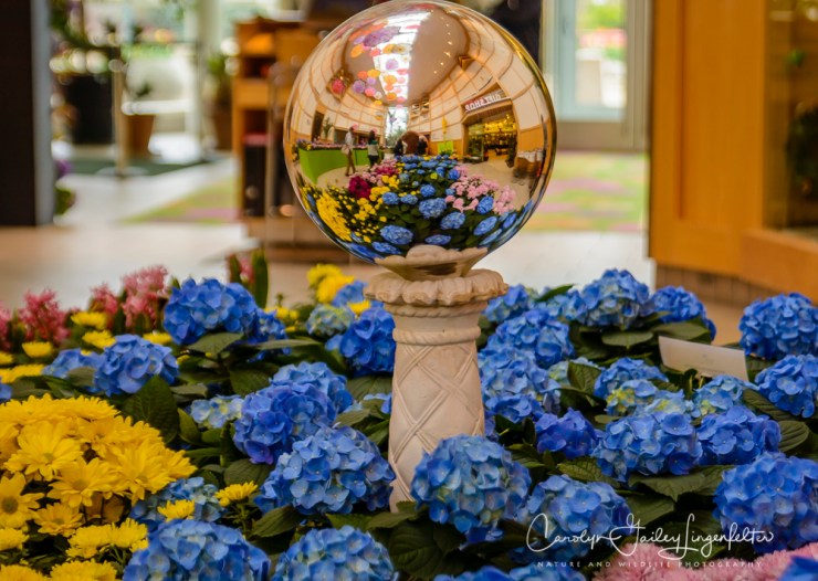 2017_04_21_Cleveland_Botanical Garden0028