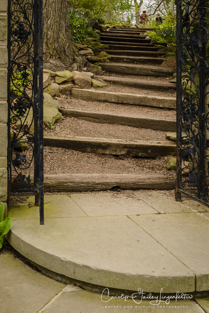 2017_04_21_Cleveland_Botanical Garden0046