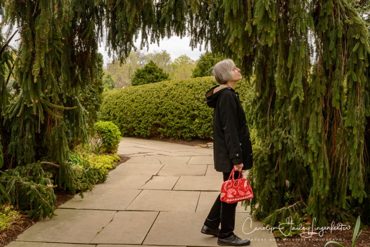 2017_04_21_Cleveland_Botanical Garden0092