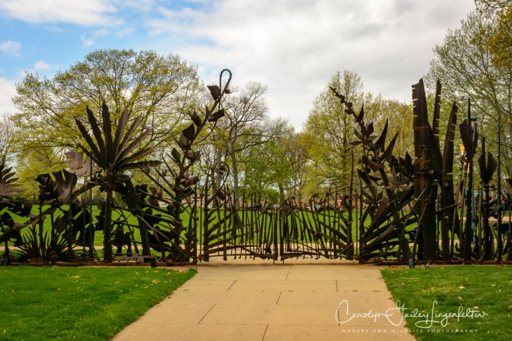 2017_04_21_Cleveland_Botanical Garden0099