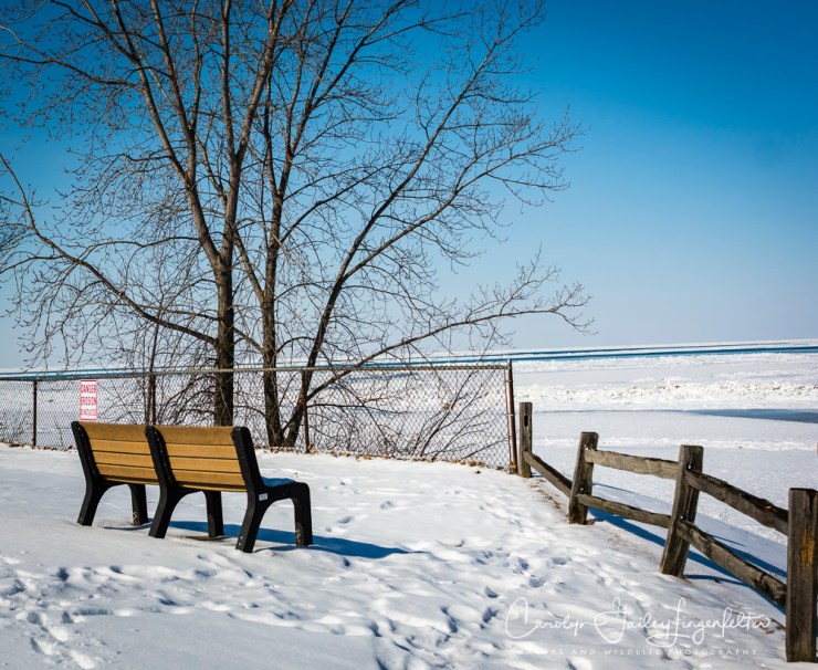 2018_02_12_Winter 2018_Lake Erie in MOL_0006
