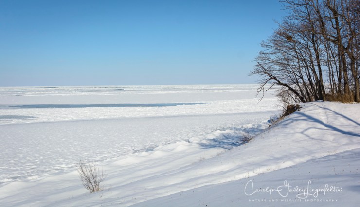 2018_02_12_Winter 2018_Lake Erie in MOL_0008