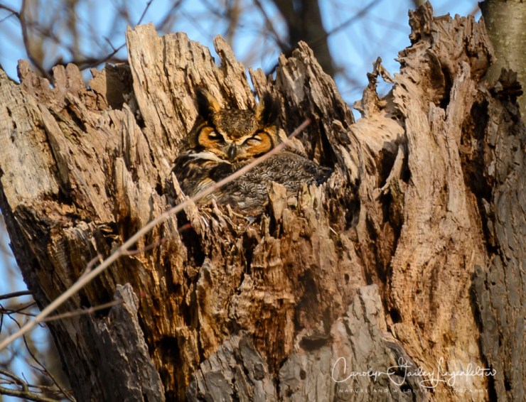 2018_03_19__Chagrin River Park_0004