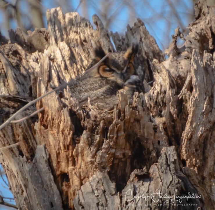 2018_03_22__Chagrin River Park_0005