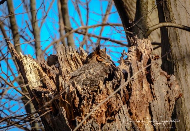 2018_03_31__Chagrin River Park_0096