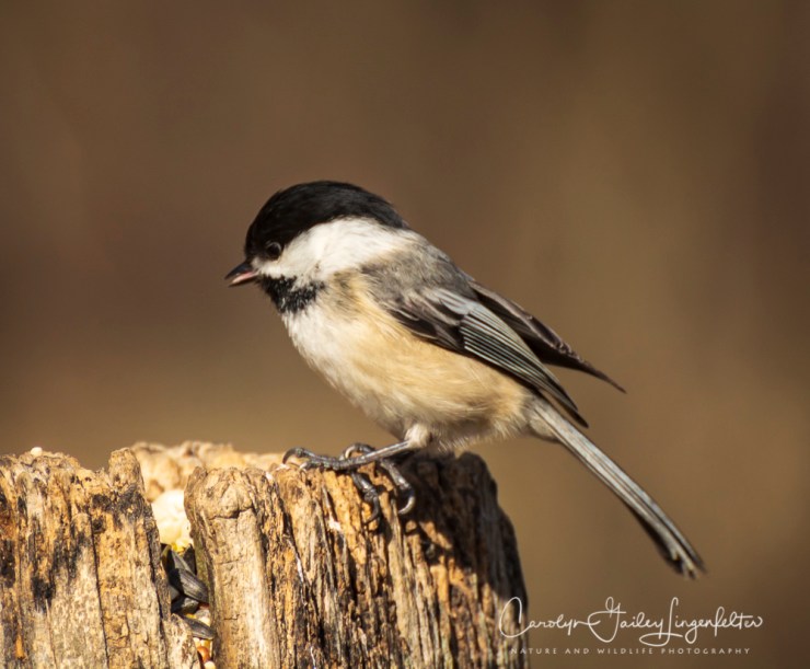 2018_04_18__Chagrin River Park_0148