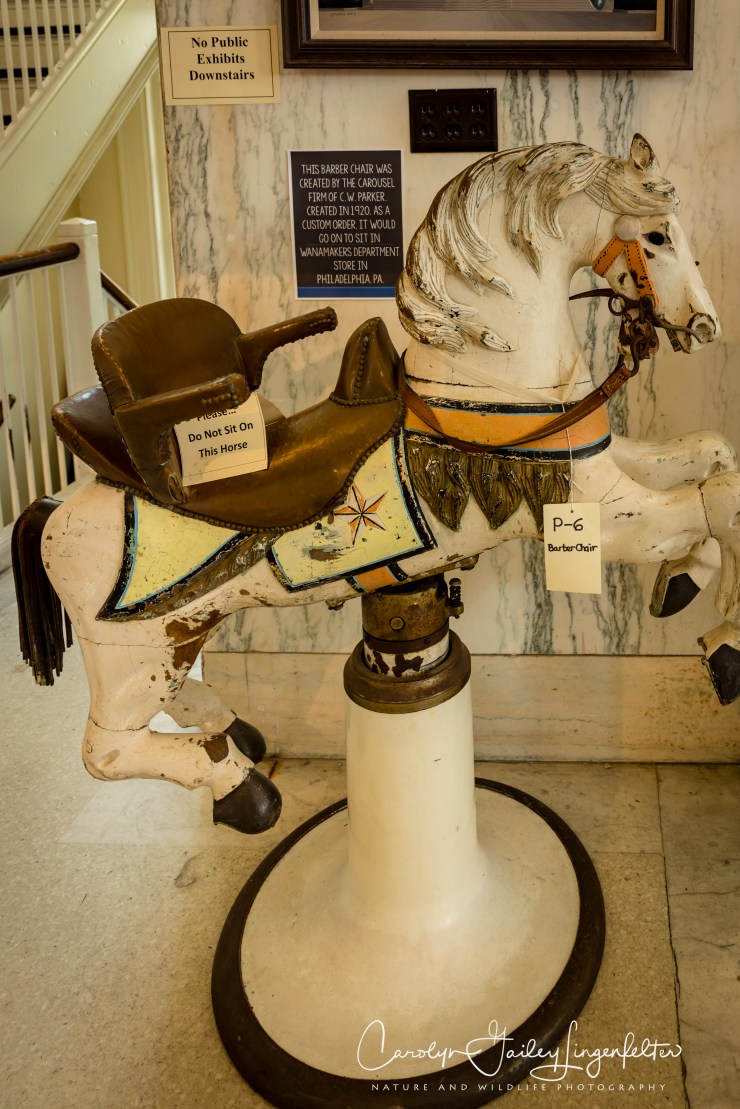 2018_07_15__Merry-G0-Round Museum_0065