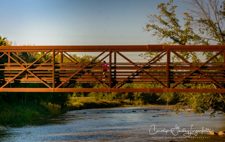 2018_09_28__ Morning trail walk_0002