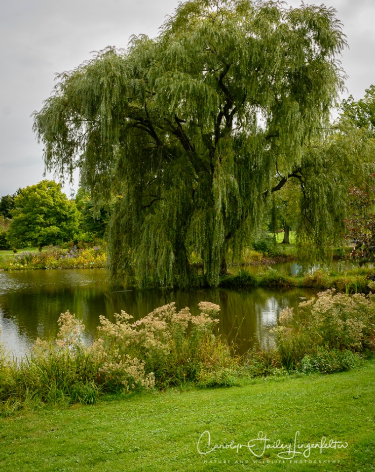 2018_10_03__Holden- Early October trail walk_0051