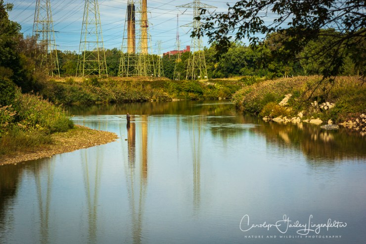 2018_10_05__Chagrin River Park-Autumn 2018_0012-2