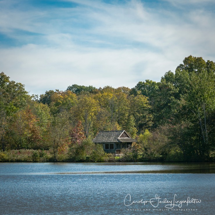 2018_10_16__Holden Arboretum_0016