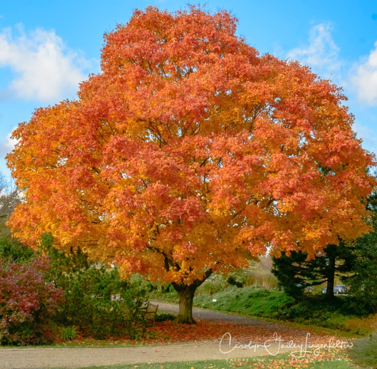 2018_10_29__untitled shoot_0064