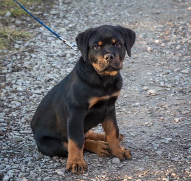 2018_12_30__untitled shoot_0007