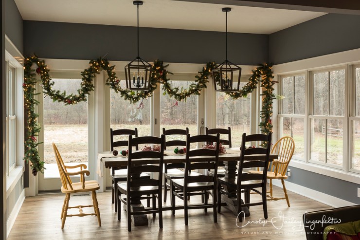 2018_12_25__dorsey's new home_0027