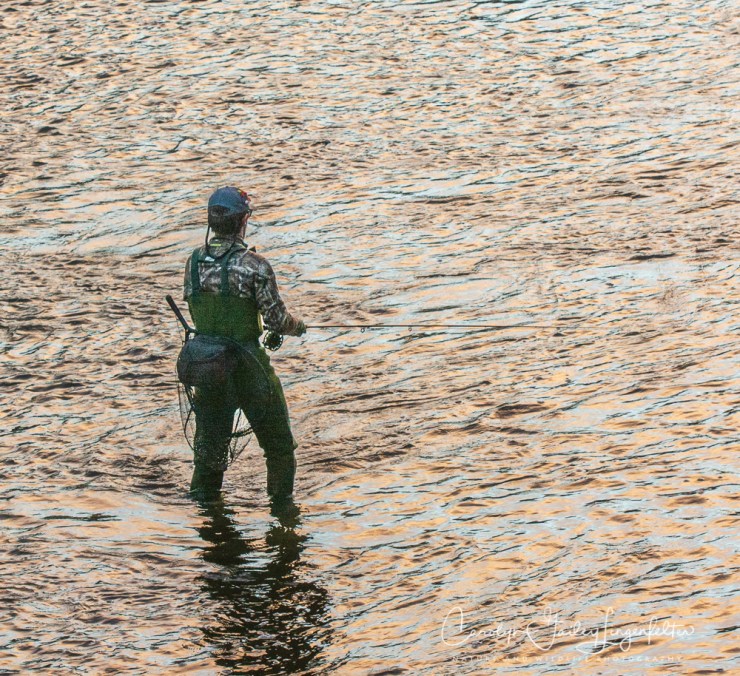 2019_01_06__chagrin river park_0059