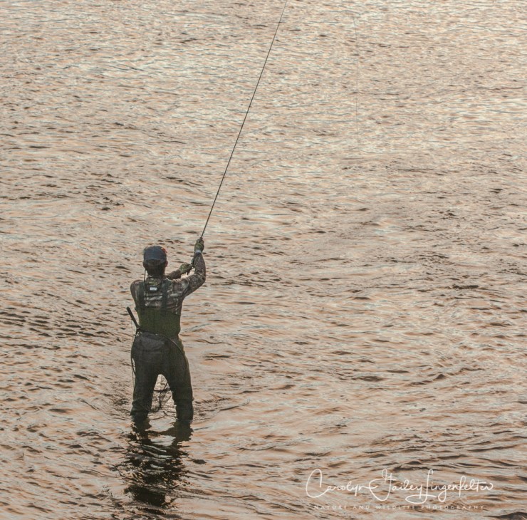 2019_01_06__chagrin river park_0062