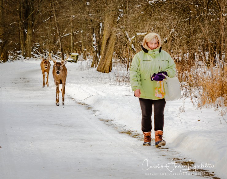 2019_01_22__chagrin river park_0116