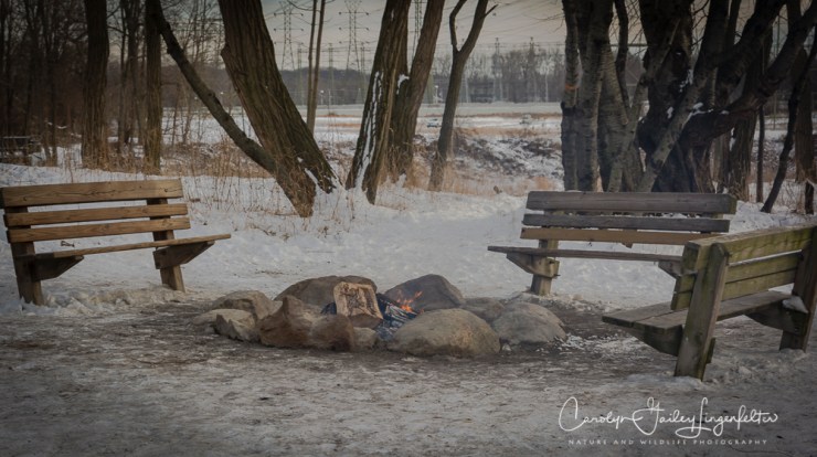 2019_01_22__chagrin river park_0148