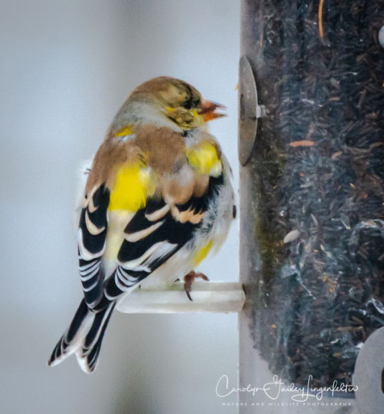 2019_04_01__untitled shoot_0020