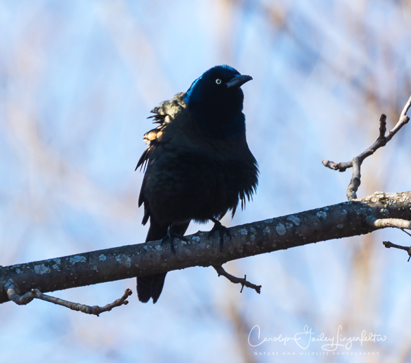 2019_04_03__untitled shoot_0053