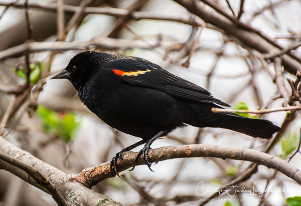 2019_04_24__Spring trailwalking_0358