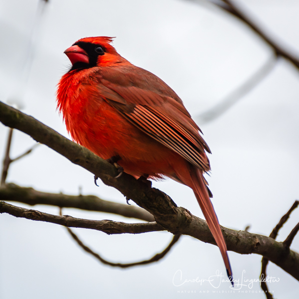 2019_04_24__Spring trailwalking_0392