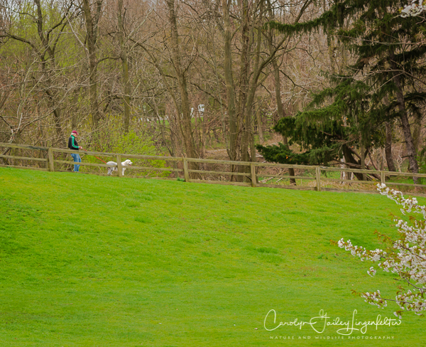 2019_04_24__Spring trailwalking_0407