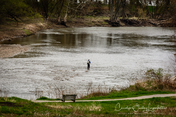 2019_04_24__Spring trailwalking_0422