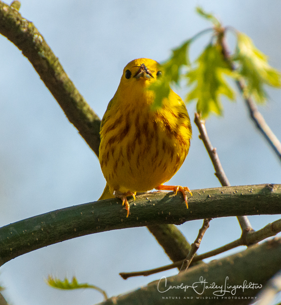 2019_05_06__untitled shoot_0102