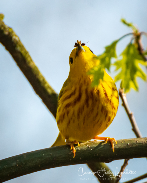 2019_05_06__untitled shoot_0103