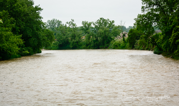 2019_06_17__Spring trail walks 2019_0002