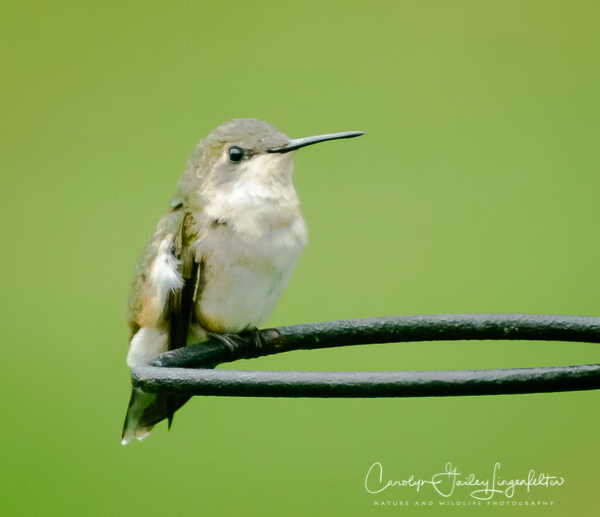 2019_08_22__Summer 2019_0059