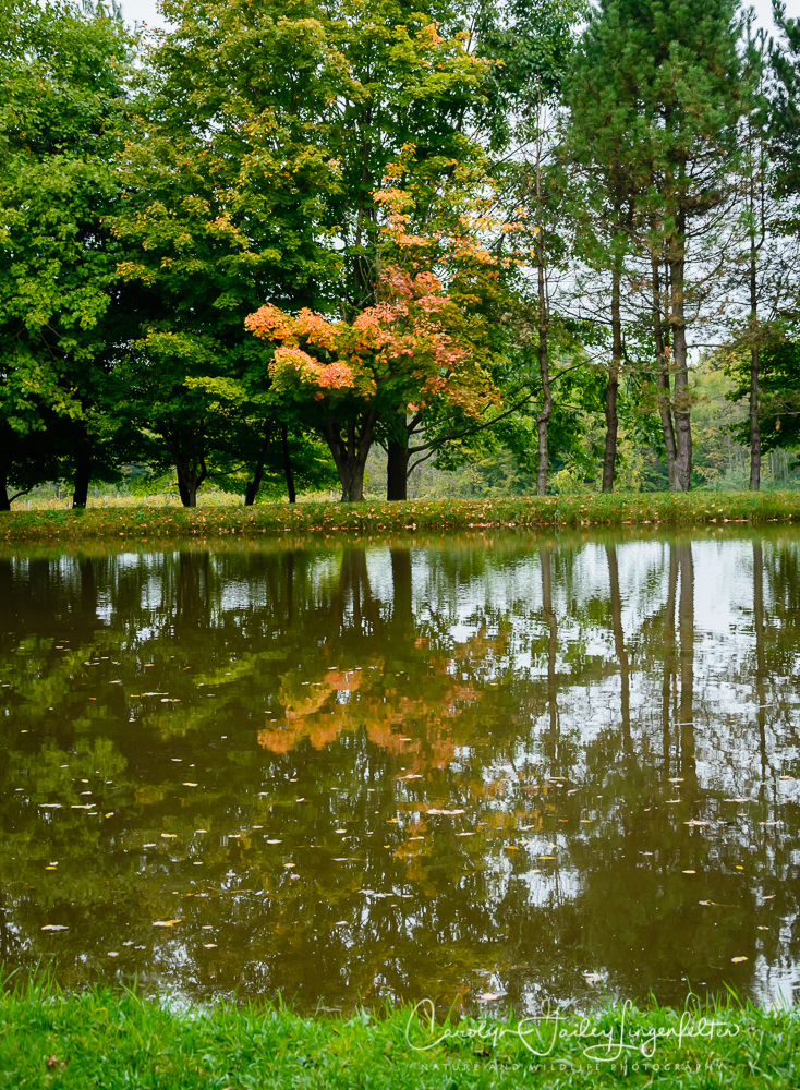 2019_10_02__Almost Autumn_0001