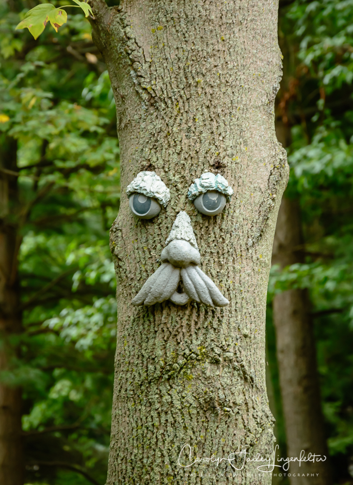 2019_10_02__Almost Autumn_0007