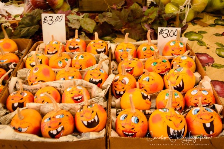 2019_10_02__Almost Autumn_0013