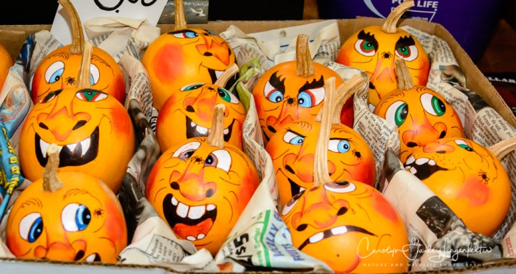 2019_10_02__Almost Autumn_0017