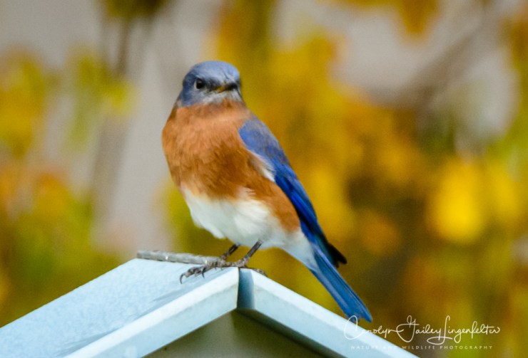 2019_10_26__untitled shoot_0008