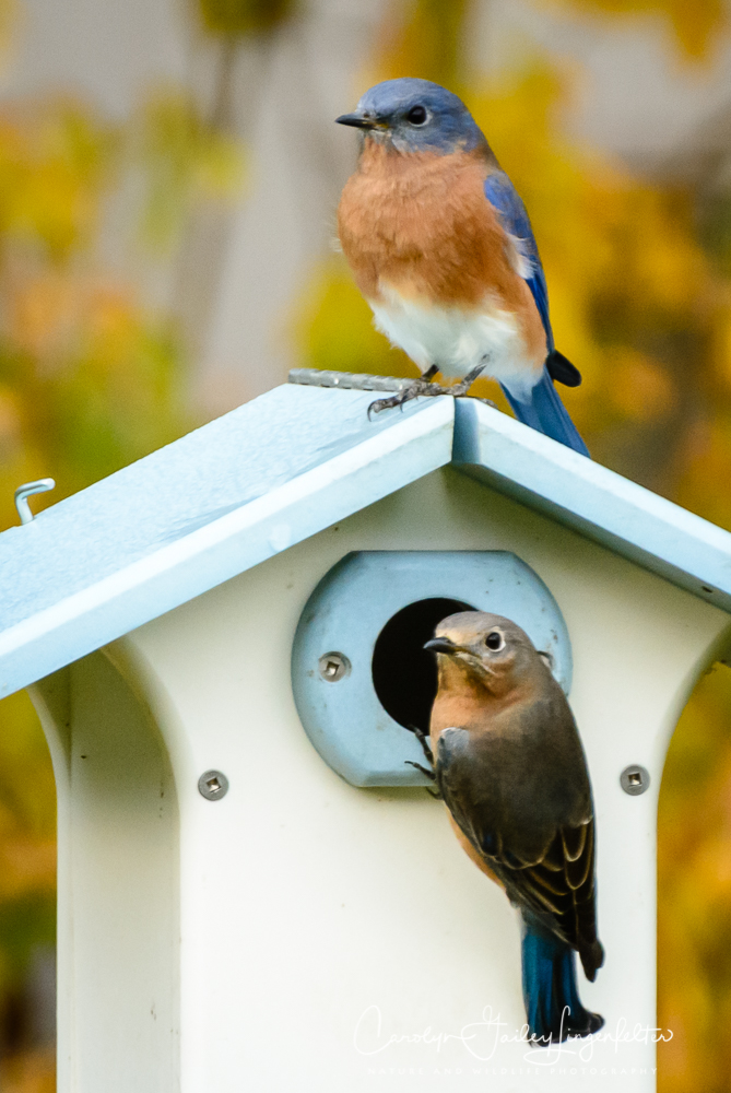 2019_10_26__untitled shoot_0010