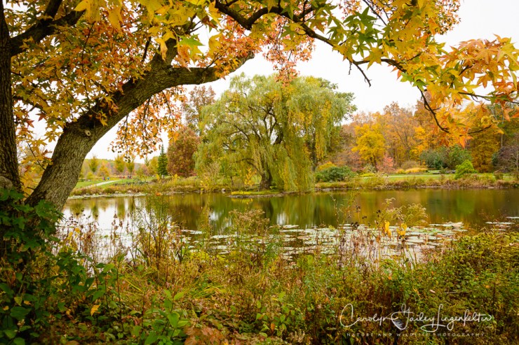 2019_10_26__untitled shoot_0068